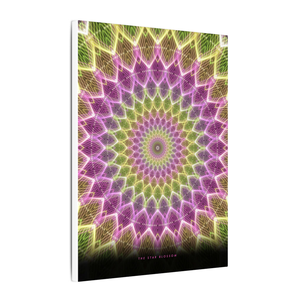 The Star Blossom gallery canvas print, view 10
