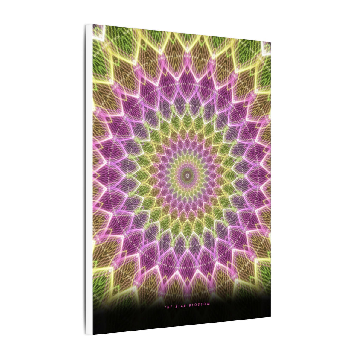 The Star Blossom gallery canvas print, view 10