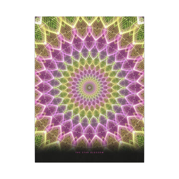 The Star Blossom Canvas