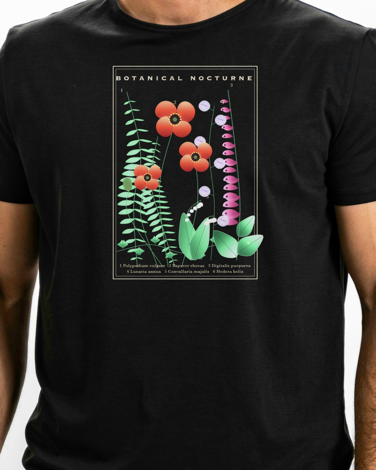 Botanical Nocturne graphic tee, view 4