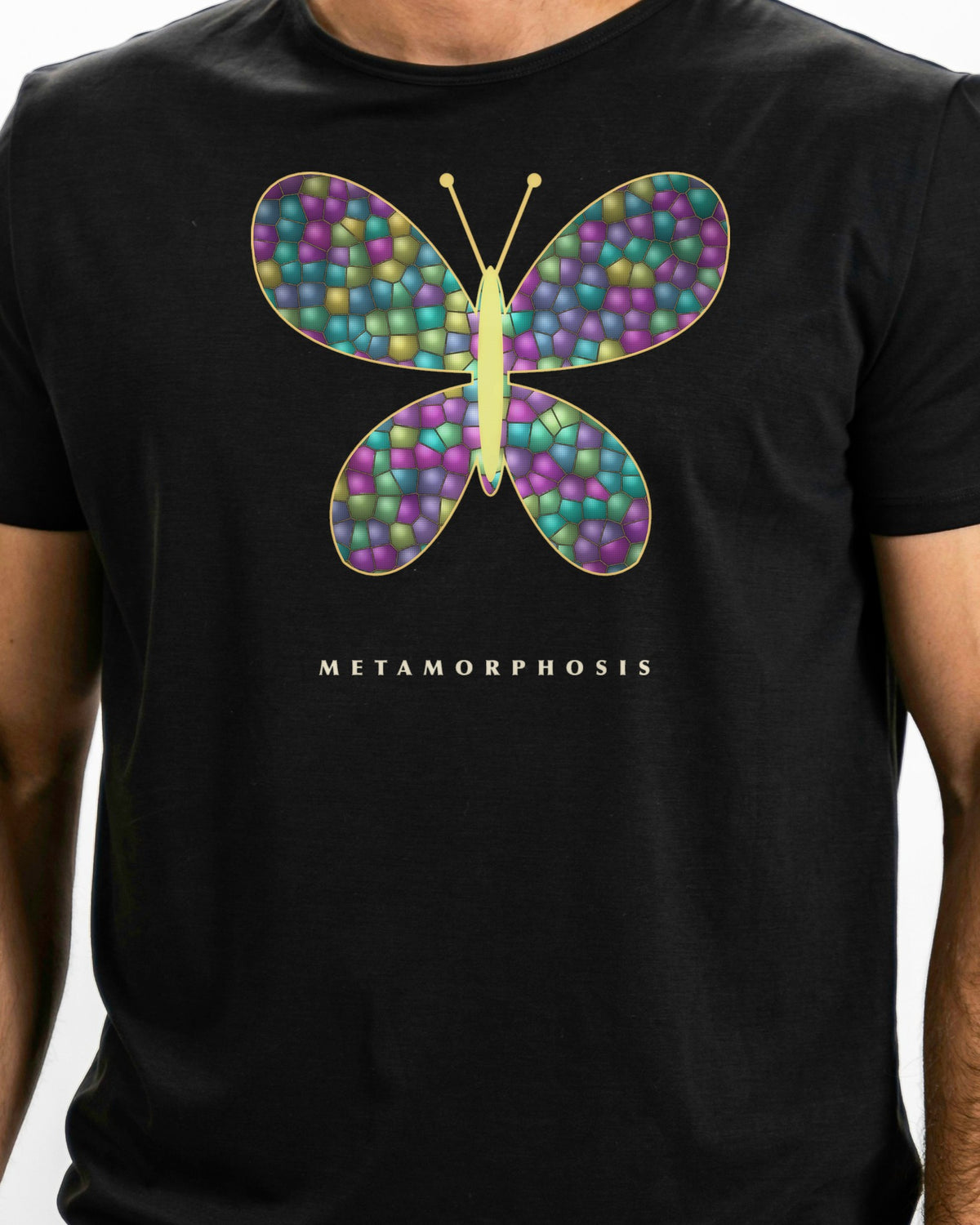 Glass Wings graphic tee, view 4