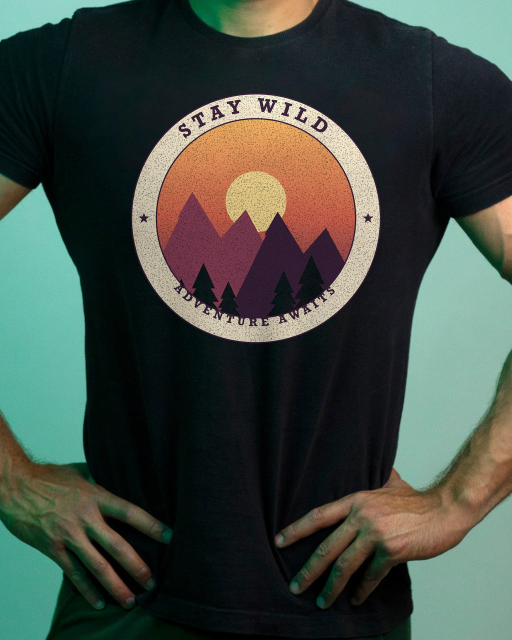 Stay Wild graphic tee, view 4