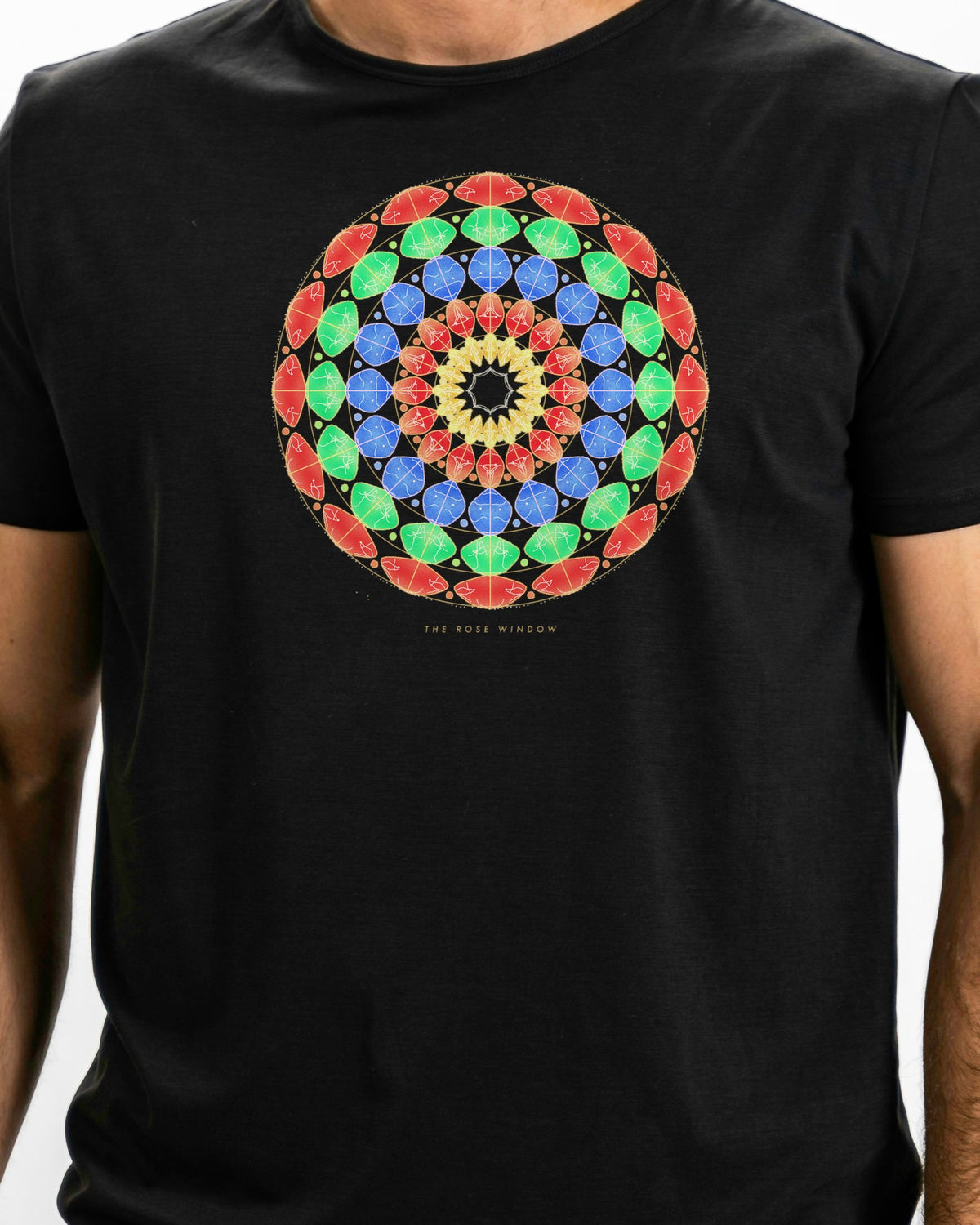 Model photo of the The Rose Window Tee: illustrative, print shown at actual size