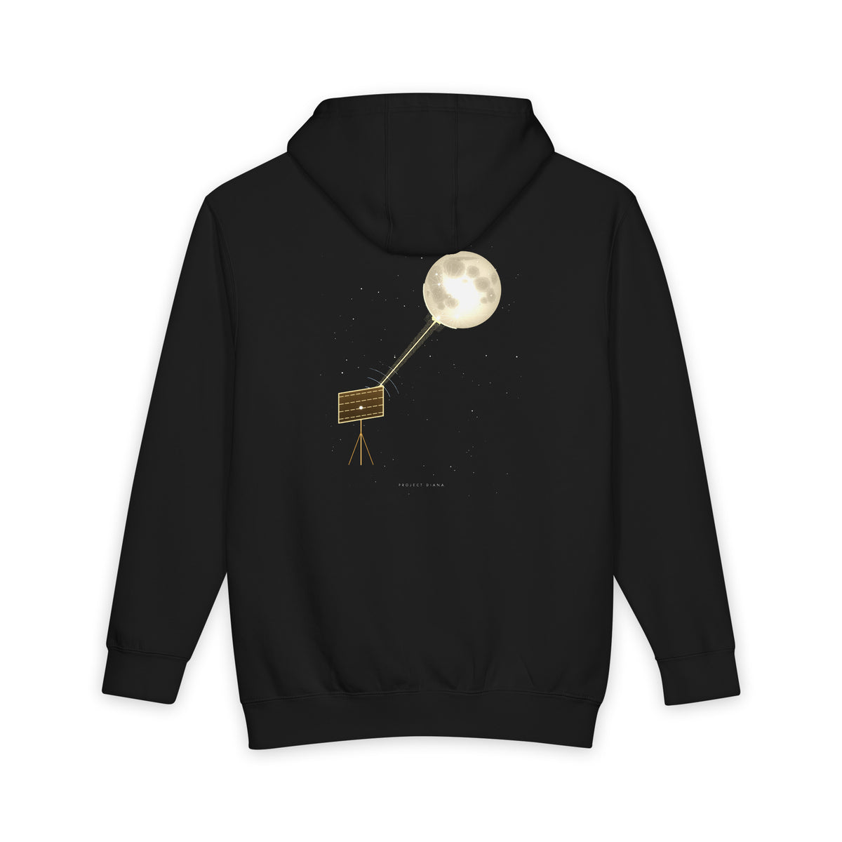 Project Diana heavyweight hoodie, view 1